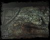 #enfield rug