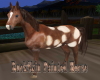 BuckSkin Painted Horse