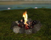 Beach  Campfire