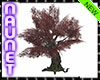 Arbol Oto&Atilde;&plusmn;al