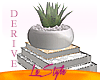 DRV - Books + Plant
