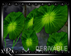 Water Lily Leaf (DERIV.)