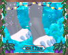 ꨄBruce Paws F 2 V1ꨄ