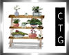 CTG SMALL PLANT STAND