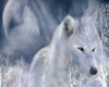 White Wolf Painting