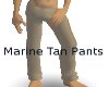 Marine Tan Pants