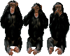 Three Wise Monkey's