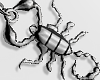 Earring Scorpions