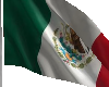 bandera mexico movi