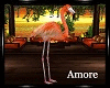 Amore Tropic Flamingo