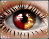 :0: Husk Eyes M/F v3