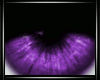 [R]-Purple-