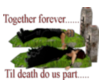xxtogether for everxx