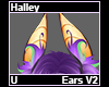Halley Ears V2