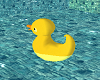 Rubber Ducky Float