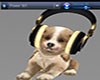 Radio Stream Puppy