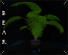 B l Galaxy Dream Plant
