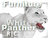 R|C White Panther FV