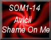 Avicii - Shame On Me