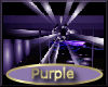 [my]Purple Disco Lights
