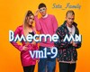 vmeste mьi