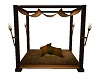 {LD} Rustic Canopy Bed