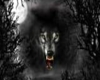 Night Warewolf