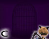 (C) Purple Cage