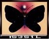 iSl-Blue belly Butterfly