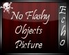 [Echo]No Flashy Objects