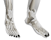 skull feet