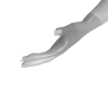 gloveswt