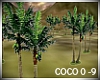 [LD] DJ Coconut Trees