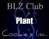 BLZ Plant