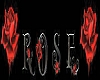 Rose roses
