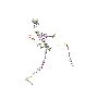 Skeleton Walkin Animated
