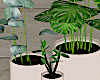 DERIVABLE Plants Set