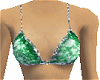 Green/Silver Bikini