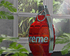 金 Red Grenade
