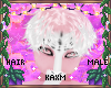 ꨄBlossom Hairꨄ