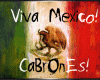 Cantina Viva Mexico 