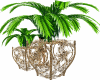 Vase of plants