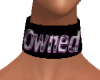 Owned Collar GA