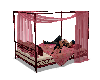 Raspberry Canopy Bed