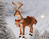 Rudolph Gift