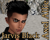 AA Jarvis Black