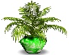 Green Lighting Plant