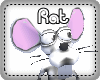 Rat pet