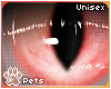 [Pets] Luci | eyes 2-T