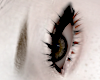 BROWS